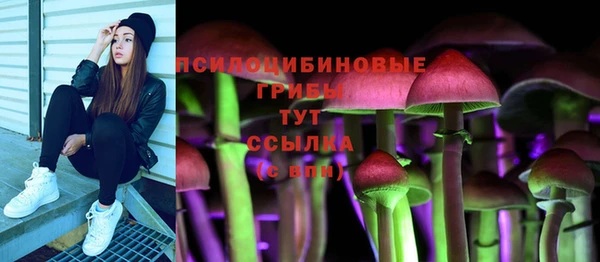 индика Россошь