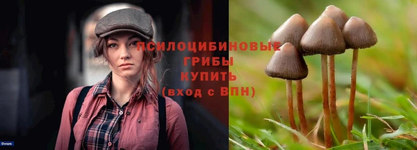 индика Россошь