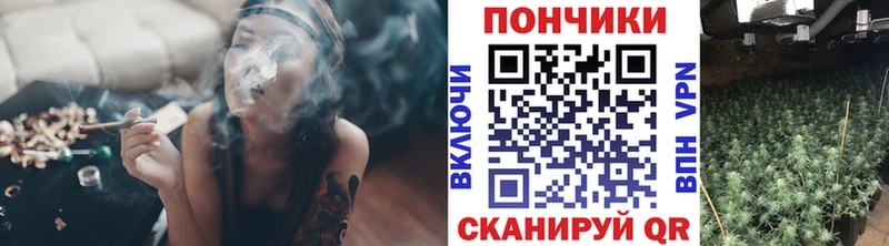 Конопля планчик  Купить где  Ардон 